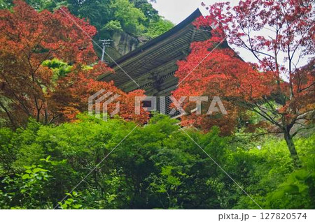 山寺までの参道(石段) 山寺までの参道(石段) 127820574