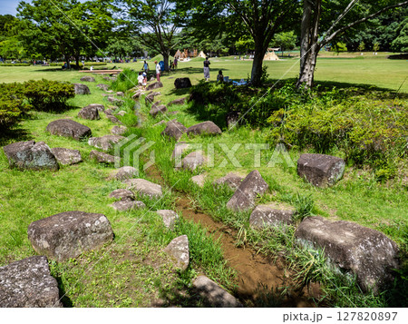 千葉県松戸市 21世紀の森と広場にある「光と風の広場」と湧水 千葉県松戸市 21世紀の森と広場にある「光と風の広場」と湧水 127820897