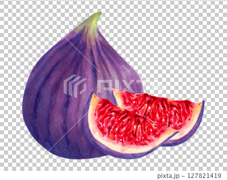 Fruit composition of whole and sliced figs. Tropical berries sketch. Botanical illustration in watercolor, marker. Hand drawn isolated art. Vegetable picture for food packaging, juice, menu 127821419