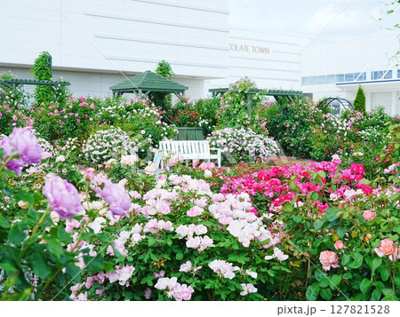 ロイズローズガーデン ロイズタウン工場 127821528