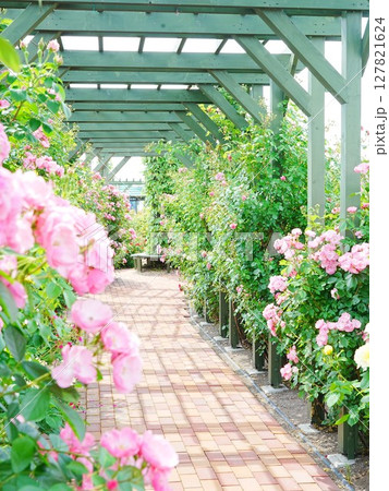 ロイズローズガーデン ロイズタウン工場 127821624