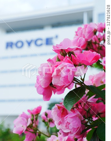 ロイズローズガーデン ロイズタウン工場 127821628