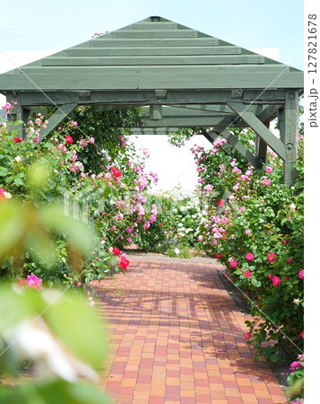 ロイズローズガーデン ロイズタウン工場 127821678