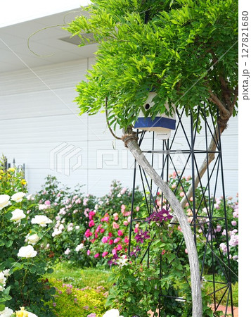 ロイズローズガーデン ロイズタウン工場 127821680