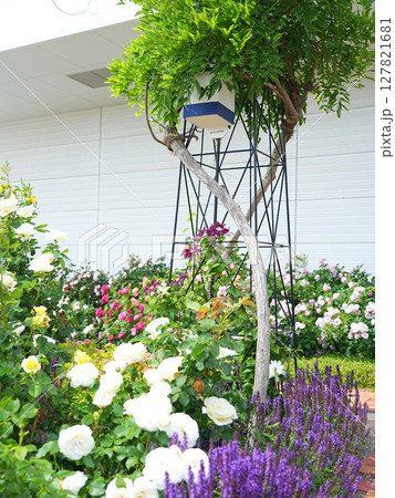 ロイズローズガーデン ロイズタウン工場 127821681