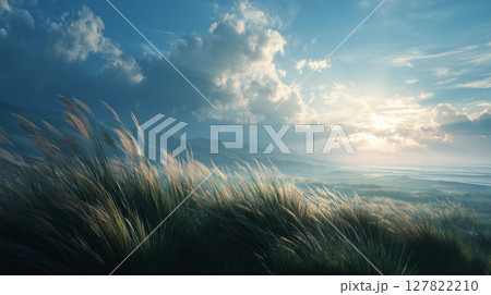 夜明けの草原：風になびく草と輝く日の出 127822210