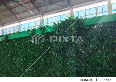 Introducing an Artificial Green Wall designed for an Indoor Space, enhanced by Natural Light Introducing an Artificial Green Wall designed for an Indoor Space, enhanced by Natural Light 127822521
