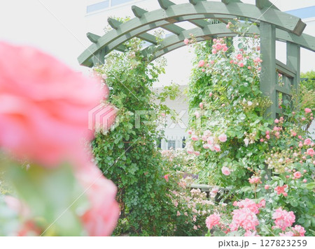 ロイズローズガーデン ロイズタウン工場 127823259