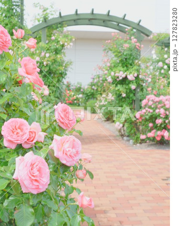 ロイズローズガーデン ロイズタウン工場 127823280