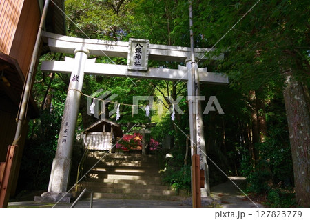 高知県大豊町　八坂神社 127823779