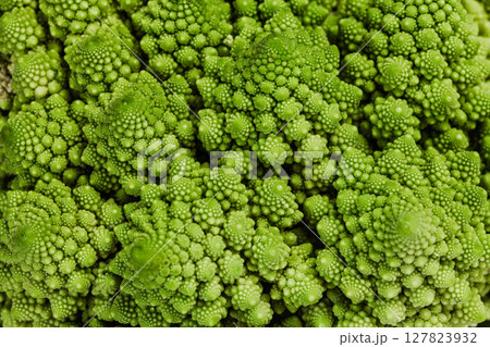Fresh romanesco broccoli (Brassica oleracea) in close-up... Fresh romanesco broccoli (Brassica oleracea) in close-up... 127823932