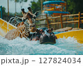 Funny giraffe and hippo sliding together down a water slide in a colorful water park, joyful surreal scene. 127824034