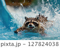 Excited raccoon sliding down a water slide with wide open mouth, splashing water in a fun summer moment. 127824038