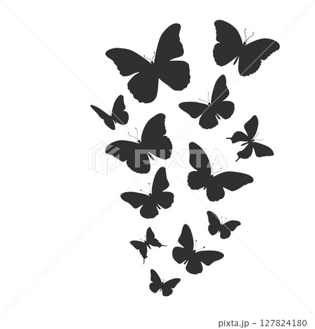 Flying butterfly silhouettes, Butterflies silhouette set Flying butterfly silhouettes, Butterflies silhouette set 127824180