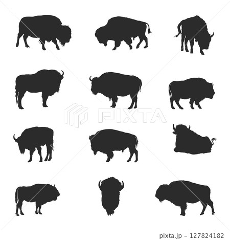 Bison buffalo silhouettes, Bison buffalo animals silhouette 127824182