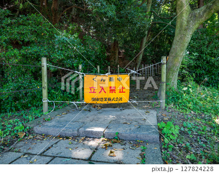 松戸市立博物館内の燻蒸作業のため立入禁止となった「21世紀の森と広場」遊歩道のバリケード 127824228