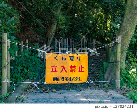 松戸市立博物館内の燻蒸作業のため立入禁止となった「21世紀の森と広場」遊歩道のバリケード 松戸市立博物館内の燻蒸作業のため立入禁止となった「21世紀の森と広場」遊歩道のバリケード 127824231