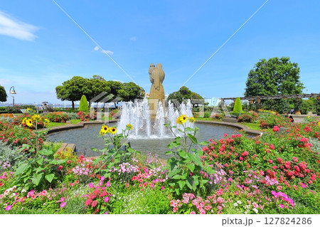 横浜 山下公園の風景 127824286