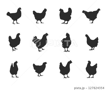 Chicken hen silhouette, Hen chicken silhouette set, Chicken silhouettes 127824354