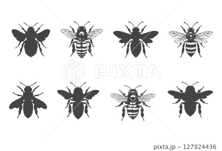 Honey bee svg, Honey bee vector, Honey bee silhouette, Honeybee silhouette, Bee svg, Bee silhouette, Flying bee silhouette, Honey bee icon, Bee vector illustration. 127824436
