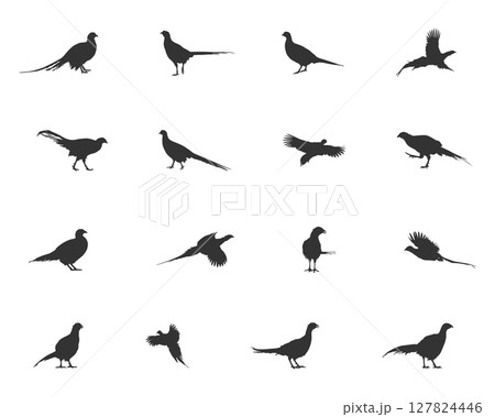 Pheasant silhouette, Flying pheasant silhouette, Pheasant SVG, Pheasant silhouette clip art. 127824446