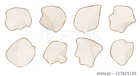 Eight brown graphic outline wavy concentric tree rings of wooden cuts on white 127825185