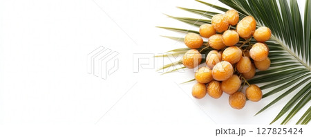 Ripe Date Palm Branches with Clusters of Fresh Dates on White Background 127825424