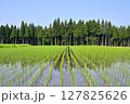 田んぼ 127825626
