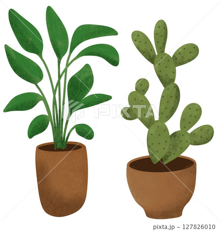 Hand drawn illustration elements of house plant cactus leaf tree ficus. Pot beige terra cotta clay potted for urban jungle nature lovers indoor houseplants. Simple green elegant drawing. 127826010