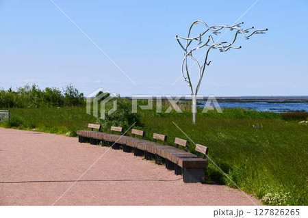 Enjoy a Peaceful Coastal View featuring Modern Art Installations and Comfortable Benches Enjoy a Peaceful Coastal View featuring Modern Art Installations and Comfortable Benches 127826265