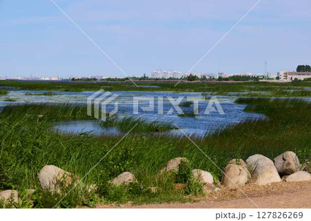 Tranquil Wetlands adorned with Lush Greenery and Serene Blue Waters inviting calmness Tranquil Wetlands adorned with Lush Greenery and Serene Blue Waters inviting calmness 127826269