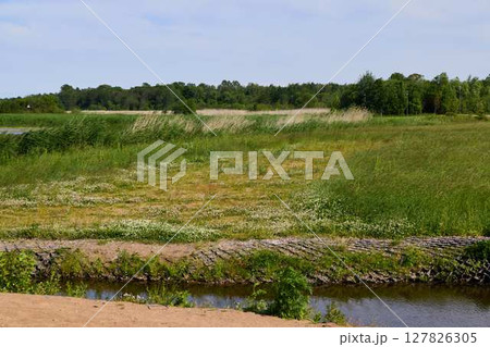 A Beautiful Lush Green Landscape with Waterway Flowing Through Colorful Wildflowers A Beautiful Lush Green Landscape with Waterway Flowing Through Colorful Wildflowers 127826305
