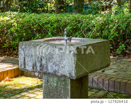 公園の木陰にある水飲み場（千葉県松戸市 21世紀の森と広場） 127826418