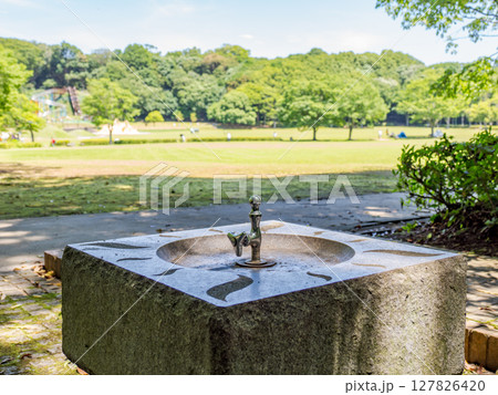公園の木陰にある水飲み場（千葉県松戸市 21世紀の森と広場） 127826420