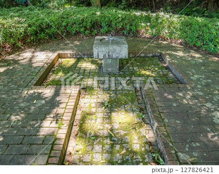 公園の木陰にある水飲み場（千葉県松戸市 21世紀の森と広場） 127826421