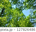 学びの森 127826486