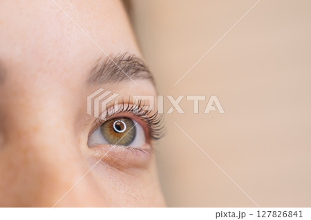 Close-up of a woman's eye after eyelash lamination procedure. Close-up of a woman's eye after eyelash lamination procedure. 127826841