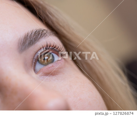 Close-up of a woman's eye after eyelash lamination procedure. Close-up of a woman's eye after eyelash lamination procedure. 127826874