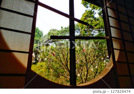 戸定邸庭園の四季を映し出す円窓 戸定邸庭園の四季を映し出す円窓 127828474