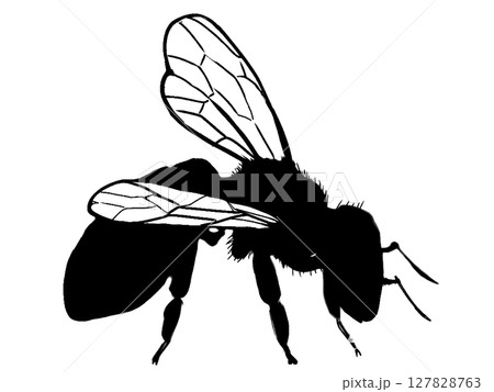 みつばちのシルエット みつばちのシルエット 127828763