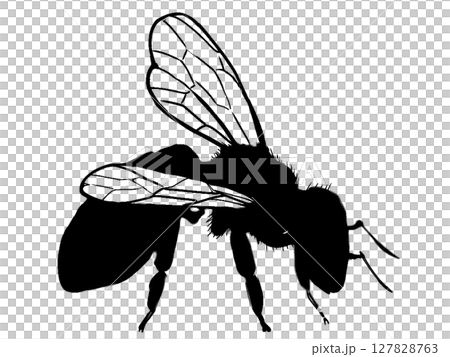 みつばちのシルエット みつばちのシルエット 127828763