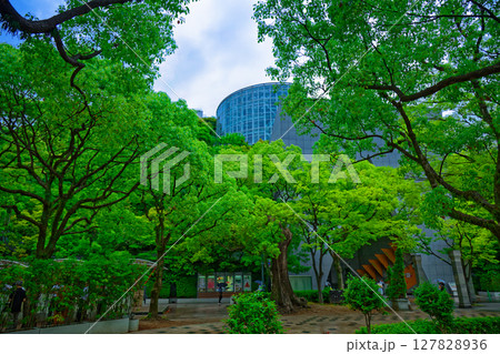 若葉と新緑の天神中央公園とアクロス福岡 127828936