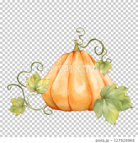 Hand-drawn Orange Pumpkin illustration with Leaves Hand-drawn Orange Pumpkin illustration with Leaves 127828968