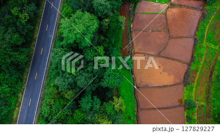 Aerial view of agricultural landscape of Thailand. Rice fields waiting to be cultivated in the countryside. Agriculture in the rainy season. 127829227