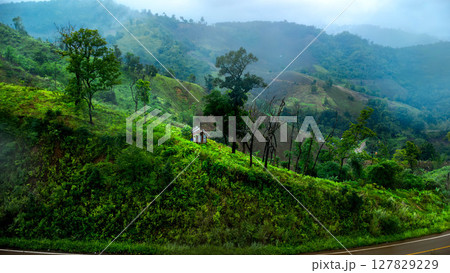 Amazing natural scenery of mist rising from the forest after rain. Aerial view of the majestic mist forest. 127829229