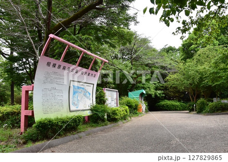 神奈川県　相模原麻溝公園総合案内図と散策路と新緑 127829865