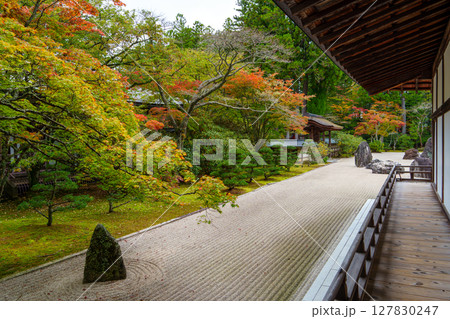 高野山　秋の金剛峯寺の蟠龍庭 127830247