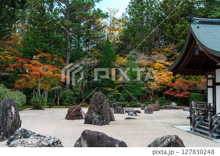 高野山 秋の金剛峯寺の蟠龍庭 高野山 秋の金剛峯寺の蟠龍庭 127830248