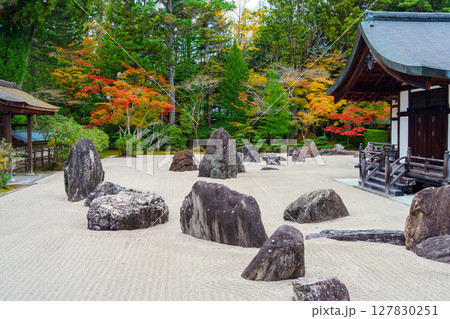 高野山 秋の金剛峯寺の蟠龍庭 高野山 秋の金剛峯寺の蟠龍庭 127830251