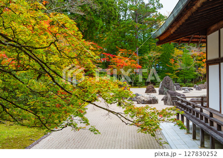 高野山 秋の金剛峯寺の蟠龍庭 高野山 秋の金剛峯寺の蟠龍庭 127830252